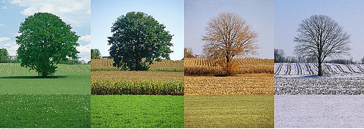 《尼瓦利斯》将于2024年发售 欢迎入住云端之城